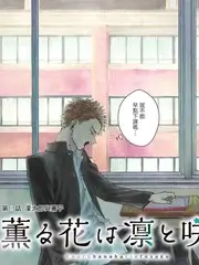 声音档案馆文化综艺高清在线观看